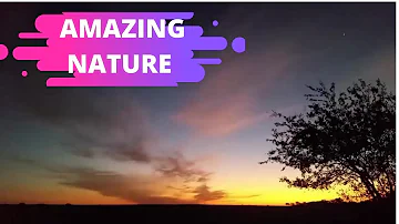 Amazing Nature || Mind and Heart Purifying Chant || Yoga Sound