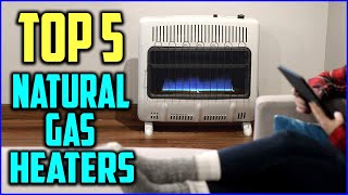 Top 5 Best Natural Gas Heaters for Garage and Homes Reviews In 2020 -  YouTube