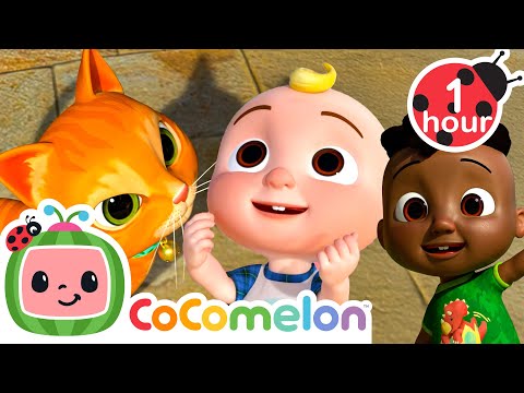 My Furry Friends | CoComelon - Cody's Playtime | Songs for Kids & Nursery Rhymes