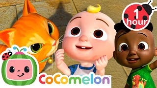 my furry friends cocomelon cody s playtime songs kids nursery