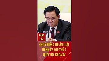 Cho ý kiến 8 dự án luật trình kỳ họp thứ 7, Quốc hội khóa XV #shorts