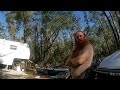 Search Warrant for Images of You Know What and Animals - Live Oak, Florida - December 19, 2024