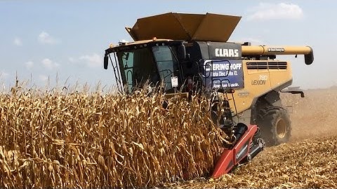 Claas Lexion 780 & Geringhoff Rota Disc Elite XL - Farm Progress Show 2015