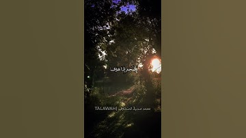 تلاوه خاشعه للشيخ محمد صديق المنشاوي #المصحف #لايك