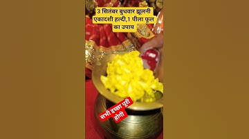 3  सितंबर बुधवार झूलनी एकादशी हल्दी, 1 पीला फूल,1 दीपक //सभी इच्छाएं पूरी होगी #facts #ytshorts #upy