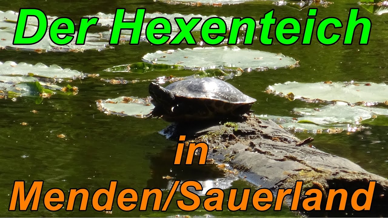 Menden/Sauerland Hexenteich 27.04.2020
