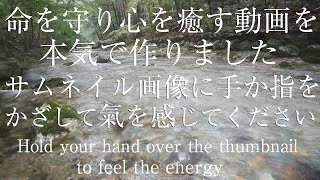 【護りたいものがある人限定】「音の波動」で命を守り心を癒すパワースポット自然音【伊勢神宮別宮 瀧原宮 金剛鈴クリスタルボウル周波数 全チャクラ活性化】