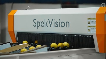 Secrets behind Lemon Sorter