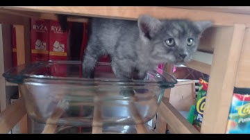 RaceGOW5 Track3 - 23.990