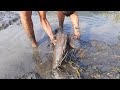 Unbelievable Hand Fishing! Amazing Boy Is Catching Big Fish By Hand in The Dry River Place