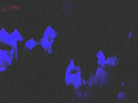 DNA COMUNIDAD (TALAVERA -BERING) Party Hardstyle