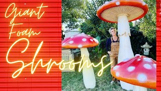 Time lapse foam mushrooms
