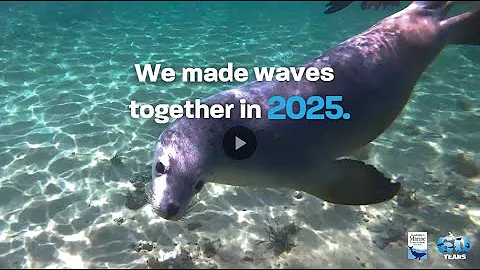 2025 Wins & Highlights: Thank you for your support!