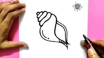 How to Draw conch shell step-by-step tutorial | Conch drawing