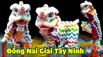 Múa Lân 2025 LSR Đồng Nai nhảy Mai Hoa Thung thi Giải Lân Sư Rồng Toàn Quốc