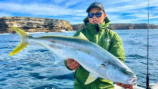 Offshore kingfish - KINGIE Fishing under the Clift off Sydney heads