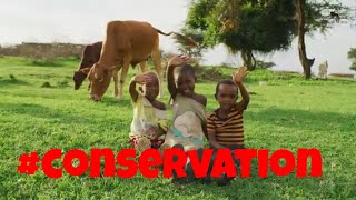 🌍 How Conservation Truly Unfolds: A Deep Dive into the Masai Mara! 🦓🌿