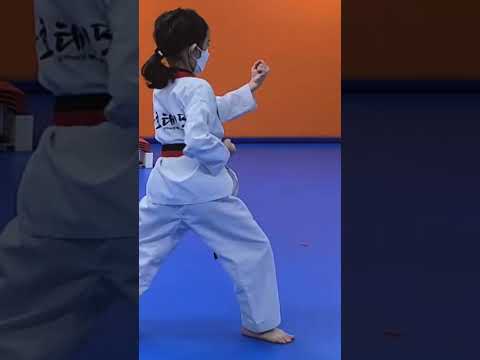 태권도 품띠 #shorts korea taekwondo @모야모야패밀리 moyamoyafamily