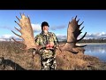 Alaska Moose Hunt 2019