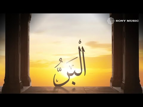           عمرو دياب الب ر