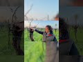 ho cambiato tipologia di vigneto
