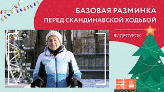 картинка: Базовая разминка перед скандинавской ходьбой | Новогодний видеоурок