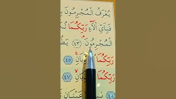 سورة الرحمن الأية 41 إلى 50 بصوت سعد الغامدي