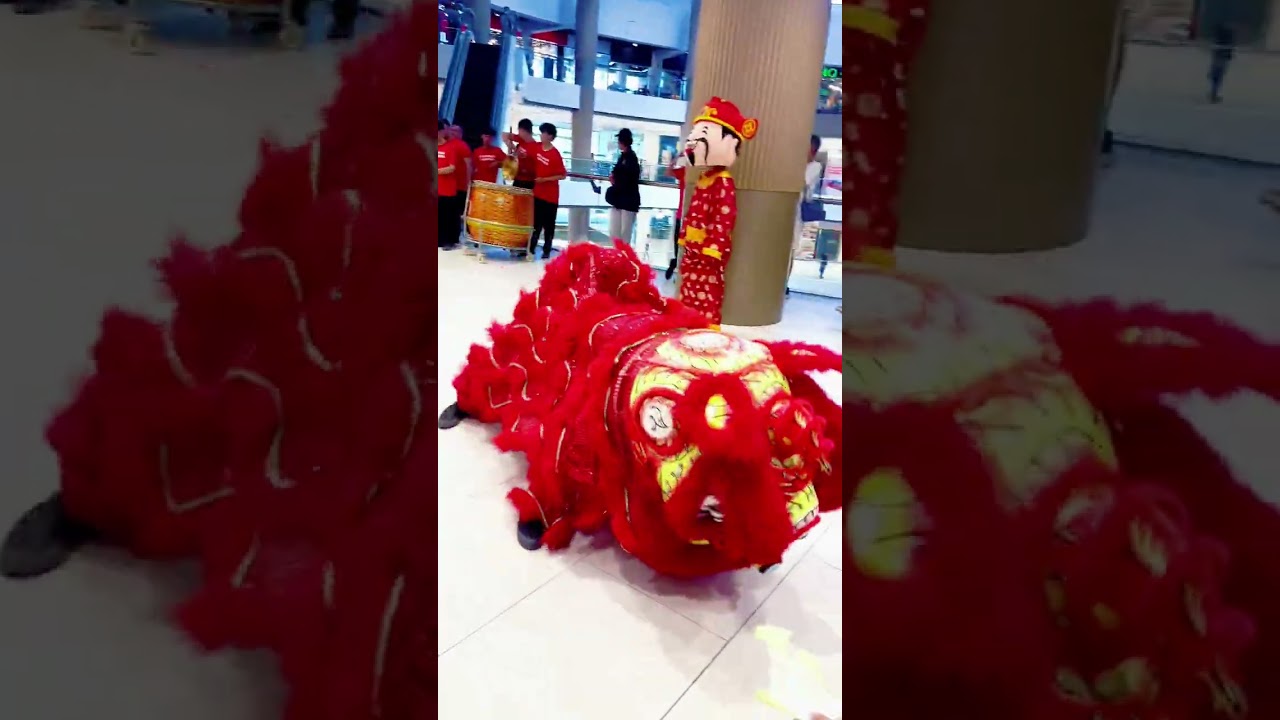 Happy Chinese New Year( Gong Xi Fa Cai) 