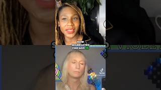 Famous Chicago Segregation - Asking the Questions from a Black Woman's Perspective Net Worth