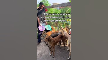 please donating to our PayPal link in bio on our Instagram for support please