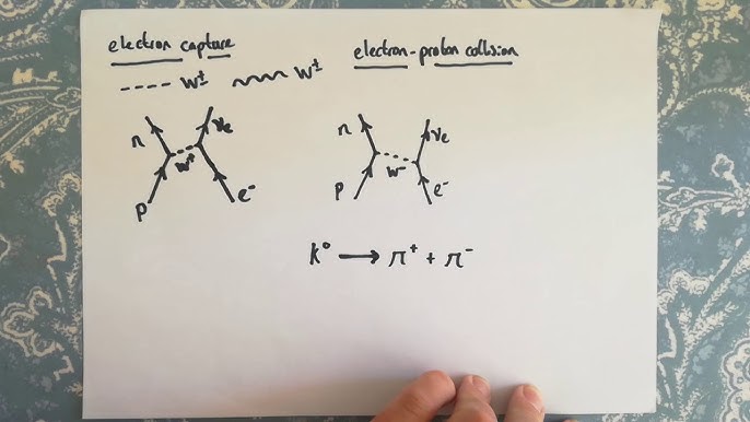 12+ Feynman Diagram Beta Decay - DariRiyhan