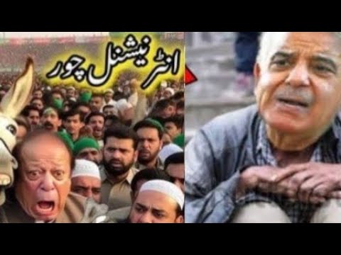 funny pakistani politicians videos – part 2 – miss funny | funny shahbaz sharif | funny memes jokes