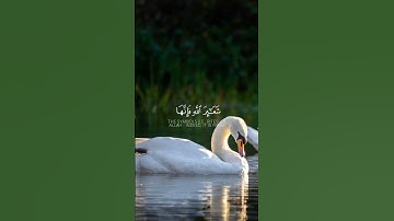 ذلك ومن يعظم شعائر الله|سورة الحج|القارئ ياسر الدوسري|