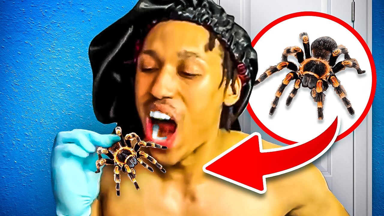 Eating a REAL Spider on Stream