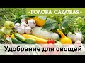 Голова садовая - Удобрение для овощей