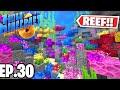 MY OWN CORAL REEF!!! |H6M| Ep.30 How To Minecraft Season 6 (SMP)
