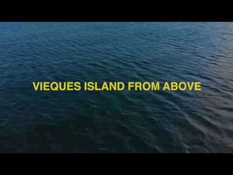 Video: Bioluminiscences Un Savvaļas Dzīvnieku Patvēruma Vietas Vieques, Puertoriko