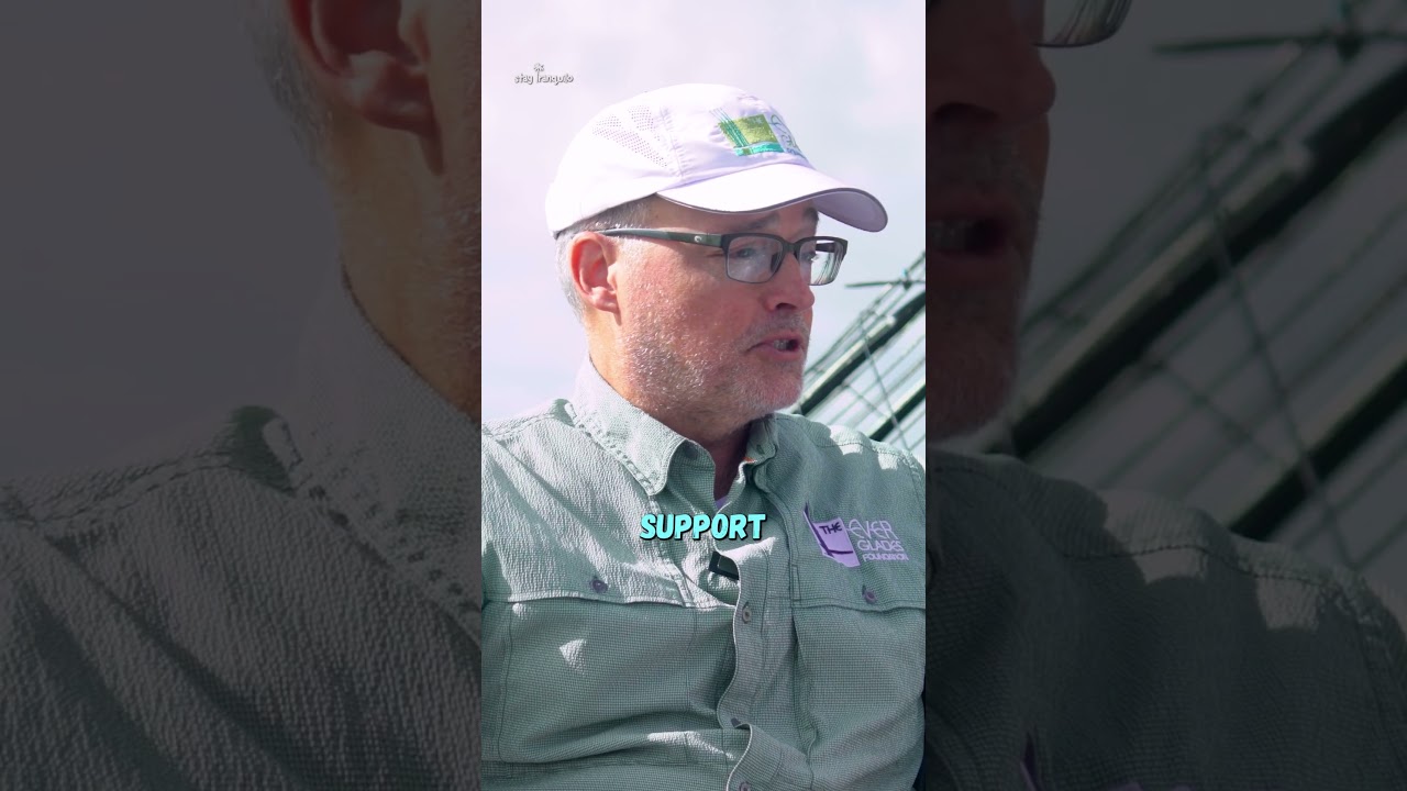 95% of Miami Has No Idea Where Their Water Comes From #everglades  #miami #floridaeverglades #water