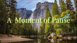 A Moment of Pause 🌿 | Soft Morning Calm ☀️ | Gentle Healing Music