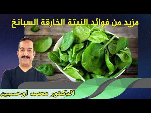 مزيد من فوائد النبتة الخارقة السبانخ الدكتور محمد اوحسين
