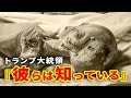 米国トランプ大統領がUFO発言!ロズウェル事件は本当だった…!?