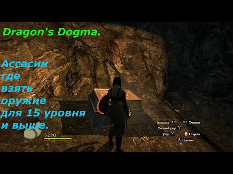 Видео: Dragon's Dogma.Оружие для ассасина.