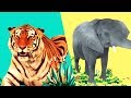 Storybots  wild animal songs for kids  jungle lion tiger rhino  learning songs  netflix jr