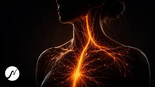 Diese Frequenzen beruhigen dein Nervensystem: 741 Hz + 6 Hz Theta für tiefe Regulation 🌿