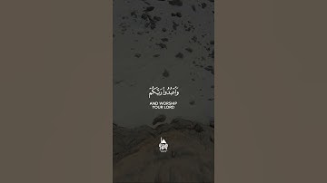 عبد الرحمن مسعد Abdul Rahman Massad سورة الحج Surat Al-Hajj