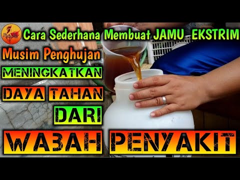 Cara Membuat JAMU  EKSTRIM di Musim Penghujan Utk Meningkatkan Daya Tahan Dari WABAH PENYAKIT