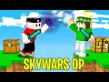 HO GIOCATO ALLE NUOVE SKYWARS OP CON I MIEI AMICI