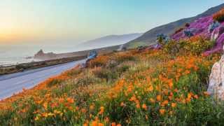 David Arkenstone - Heart of Spring