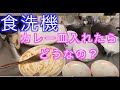 食洗機の本当の真実！隠さずお伝えします！本当に買っていいものなのかはあなた次第！（SDW-J5L-W）エスケイジャパンの食洗機使用してみた！ノーカット版