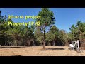 Ep 2 20 acre project property clearing land for new driveway  home site